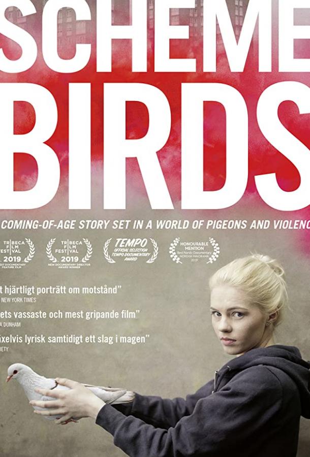 Птички Предместья Птички Предместья