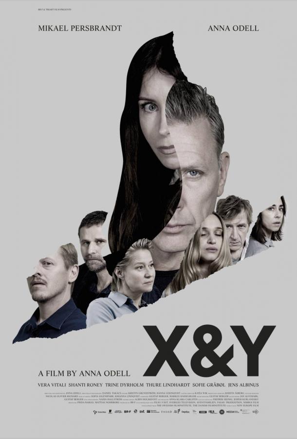 X и Y X и Y