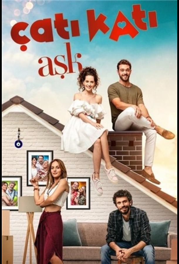 Любовь на крыше / Чердак любви Любовь на крыше / Чердак любви