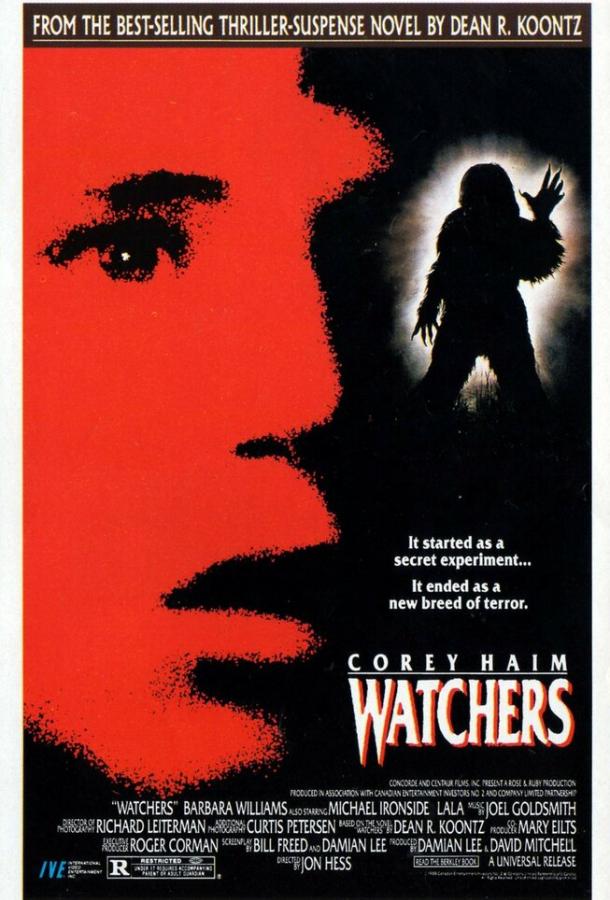 Ангелы-хранители Ангелы-хранители