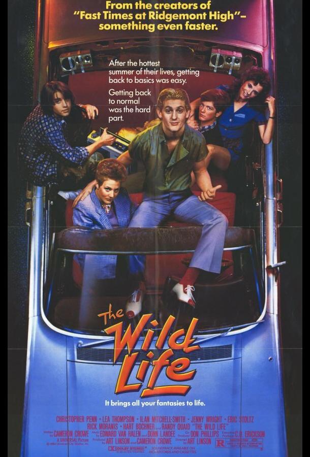 Без тормозов Без тормозов