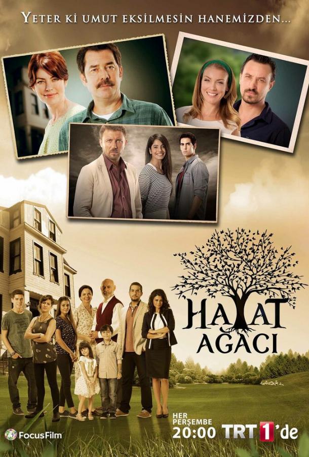 Дерево жизни Дерево жизни