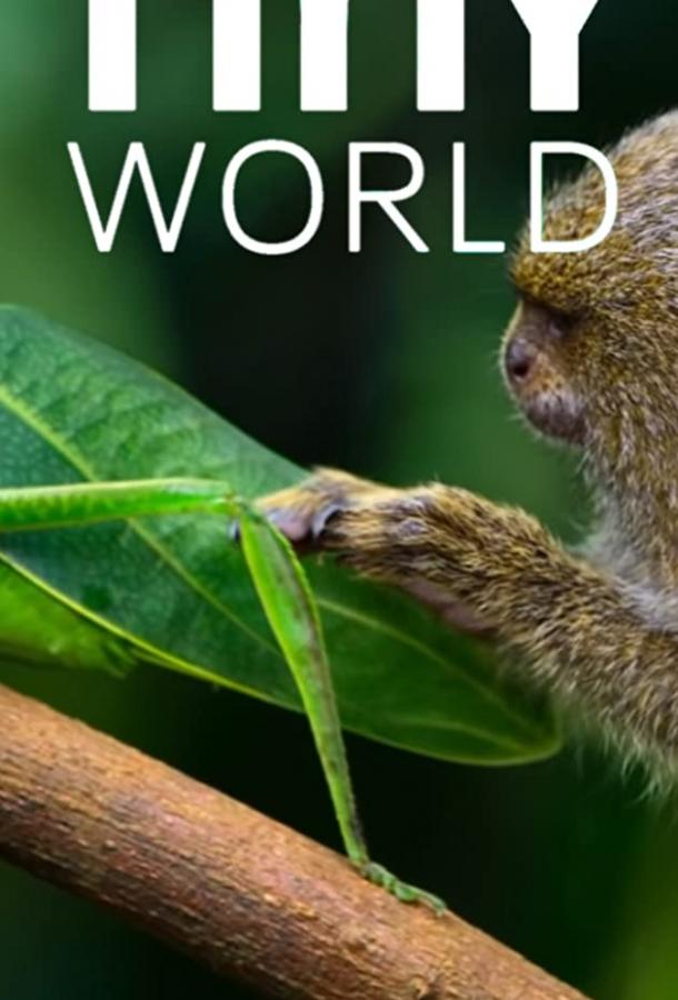 Крошечный мир Крошечный мир