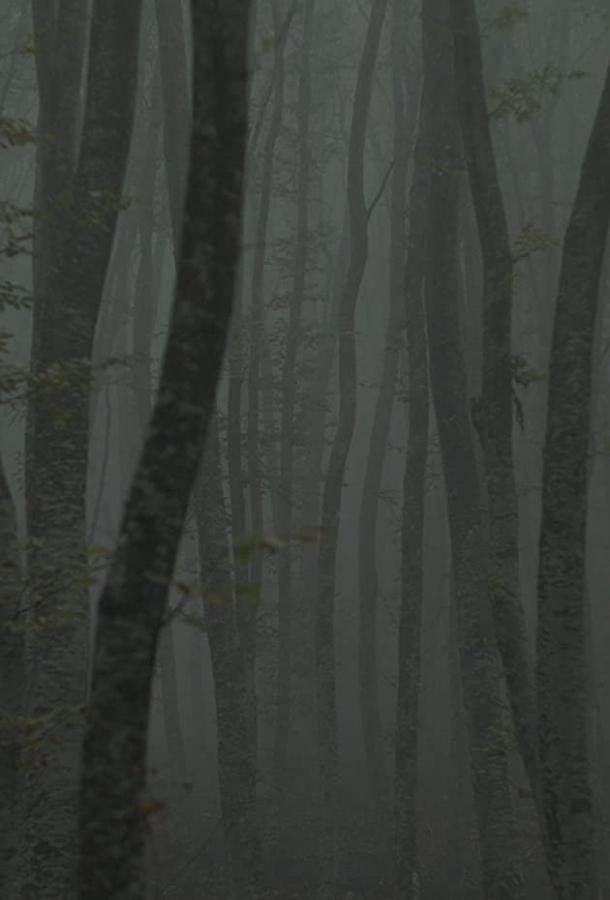 Убежище 2: ледяная тропа Убежище 2: ледяная тропа