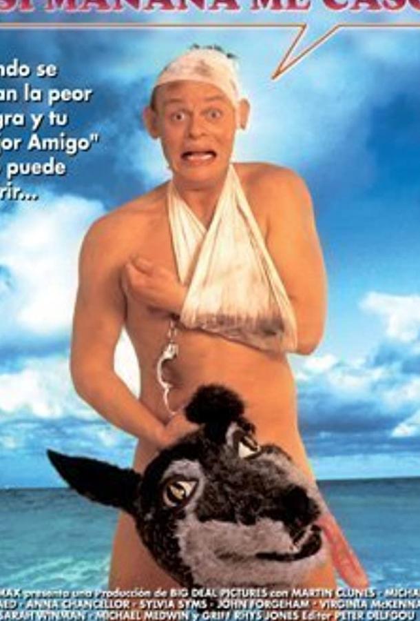 Особенности холостяцкой вечеринки Особенности холостяцкой вечеринки