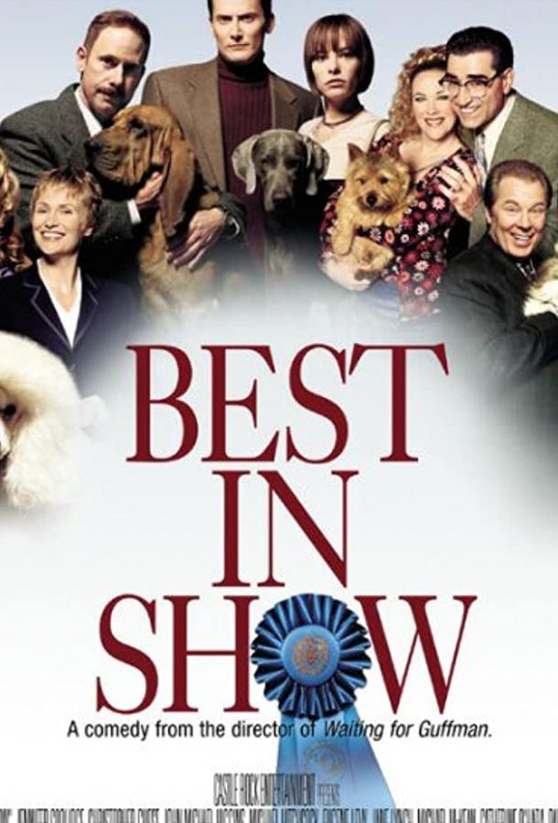 Победители шоу Победители шоу