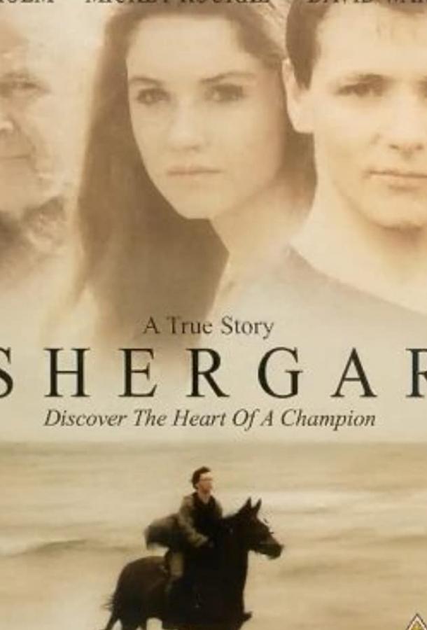 Похищение чемпиона Похищение чемпиона