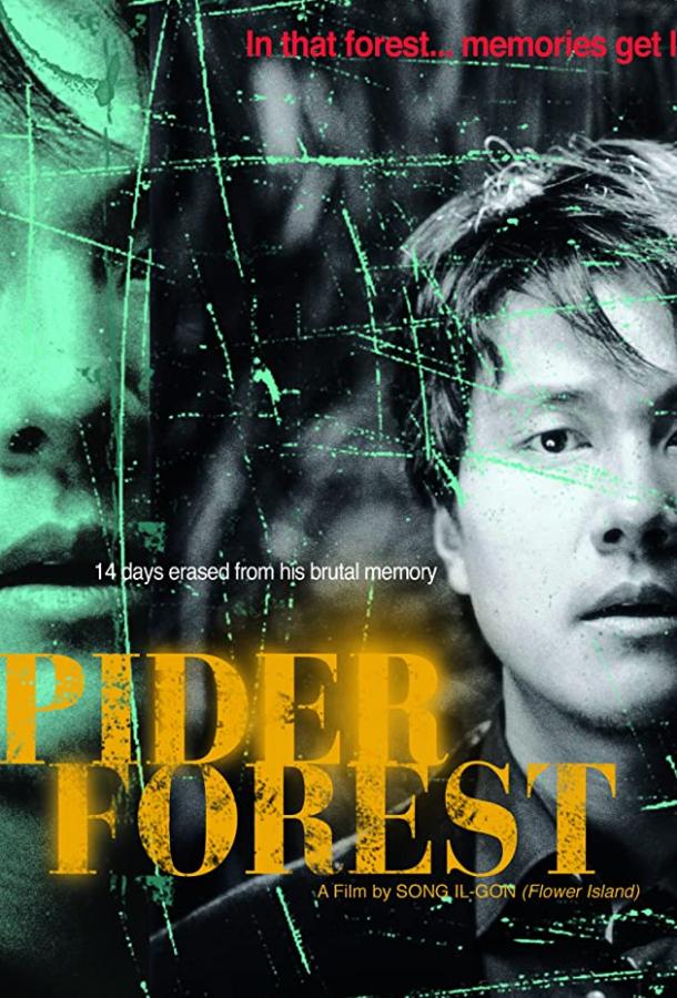 Паучий лес Паучий лес