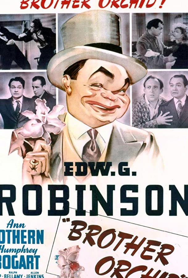 Брат «Орхидея» Брат «Орхидея»