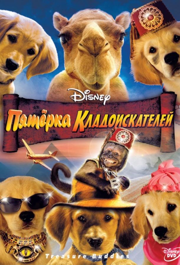 Пятерка кладоискателей Пятерка кладоискателей