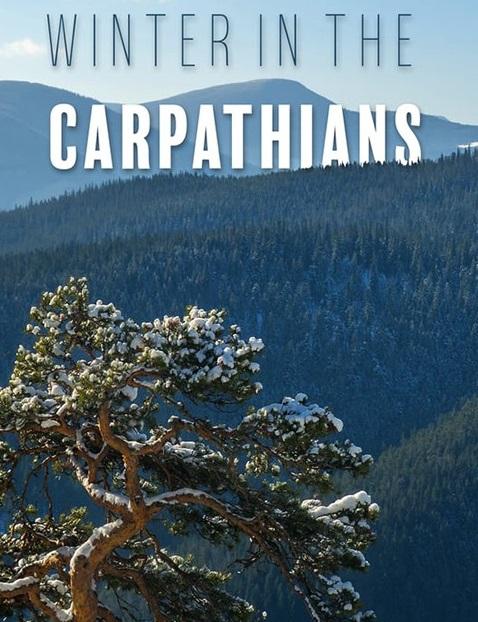 Зима в Карпатах Зима в Карпатах