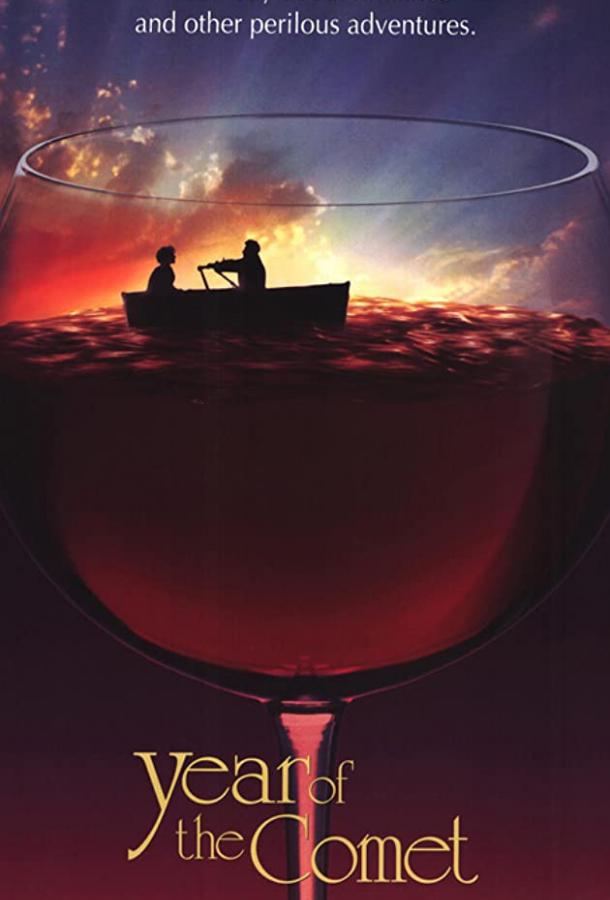 Год кометы Год кометы