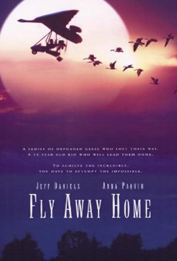 Летите домой Летите домой