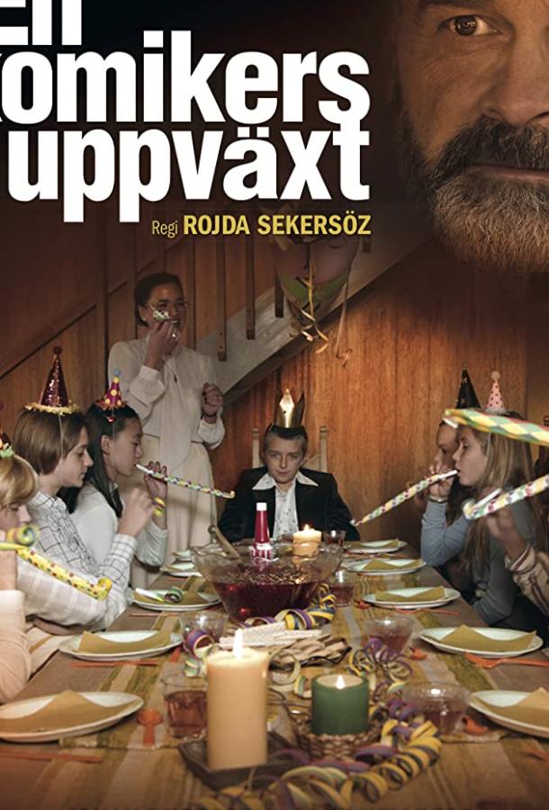 Моя жизнь в качестве комика Моя жизнь в качестве комика