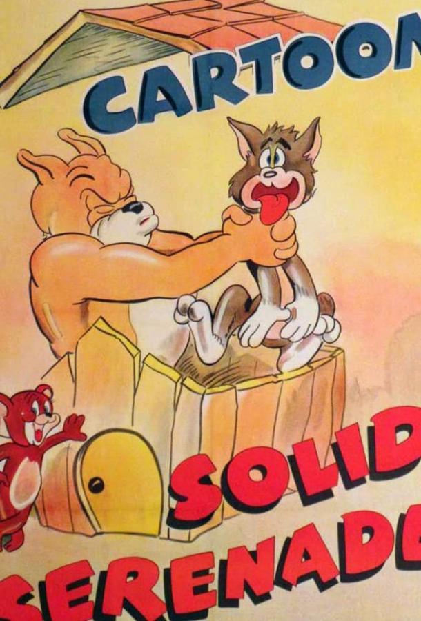 Шумная серенада Шумная серенада