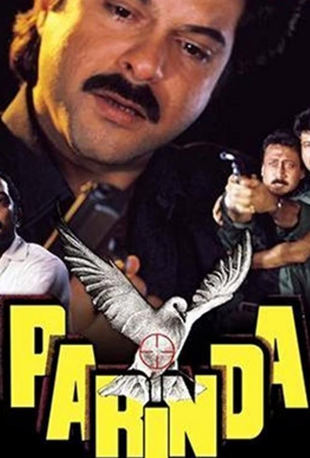 Птицы Птицы