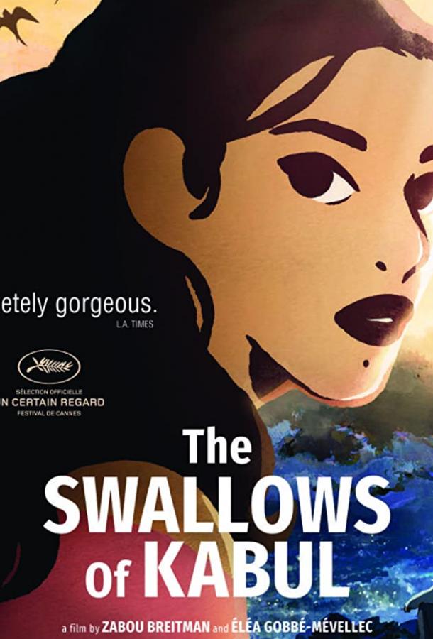 Ласточки Кабула Ласточки Кабула