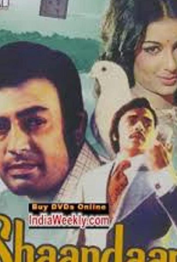 Белый голубь Белый голубь