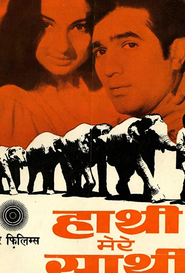 Слоны — мои друзья Слоны — мои друзья