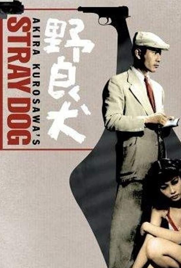 Бездомный пес Бездомный пес