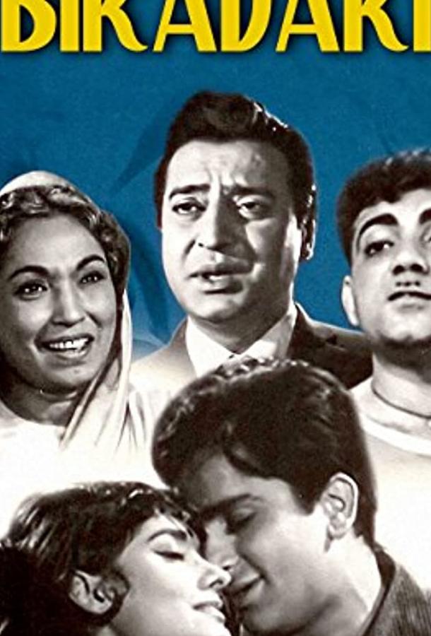 Мистер Бирадари Мистер Бирадари