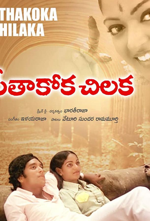 Последний зов любви Последний зов любви