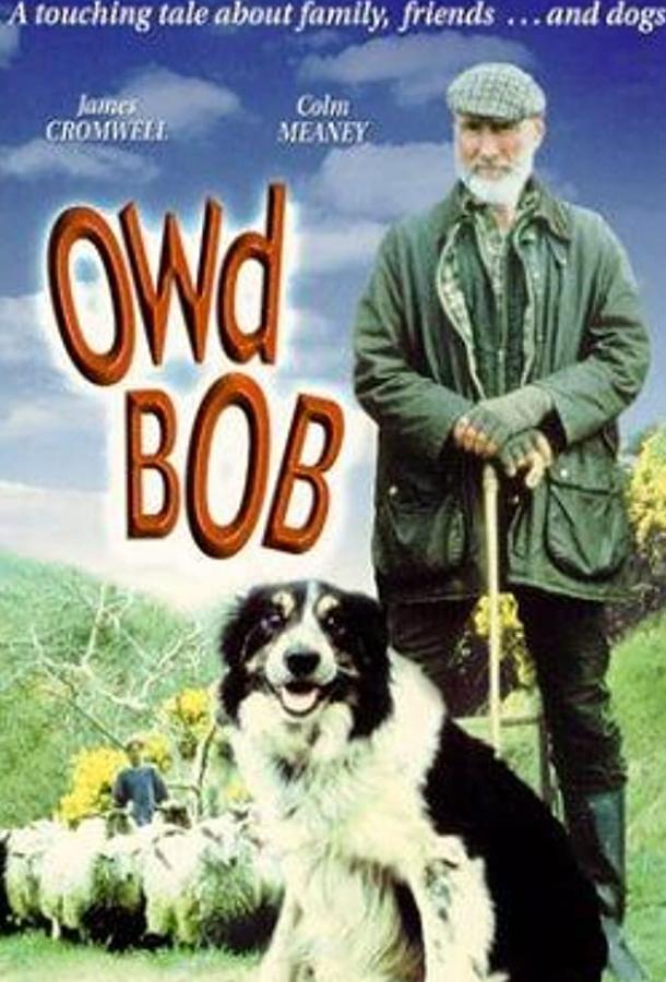 Старина Боб Старина Боб