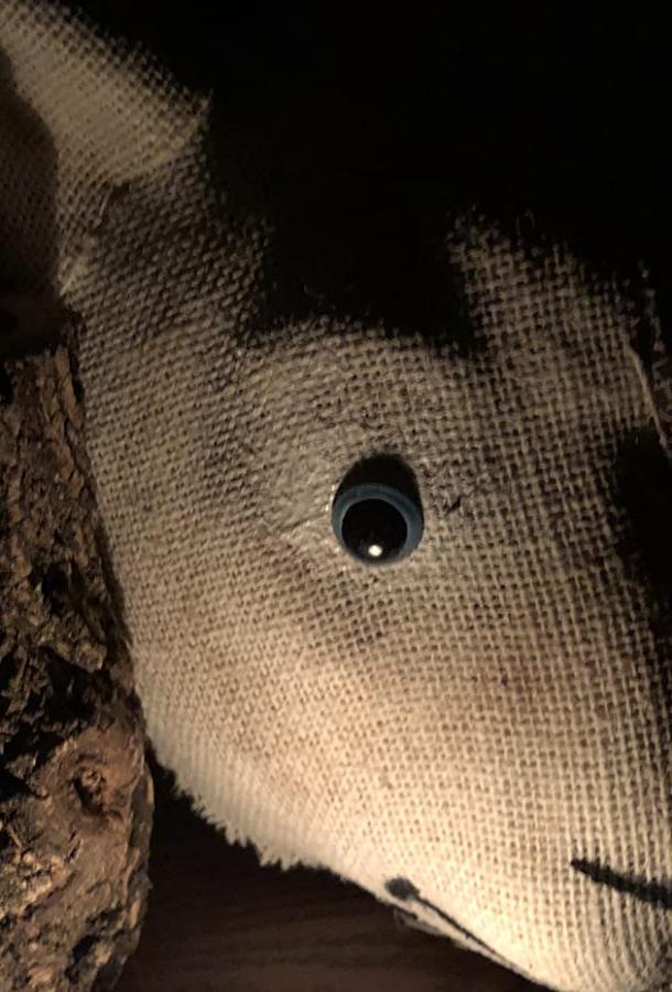 История Марии История Марии