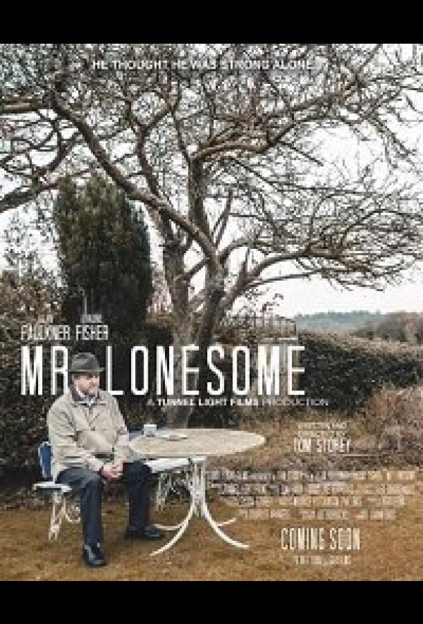 Мистер одиночка Мистер одиночка