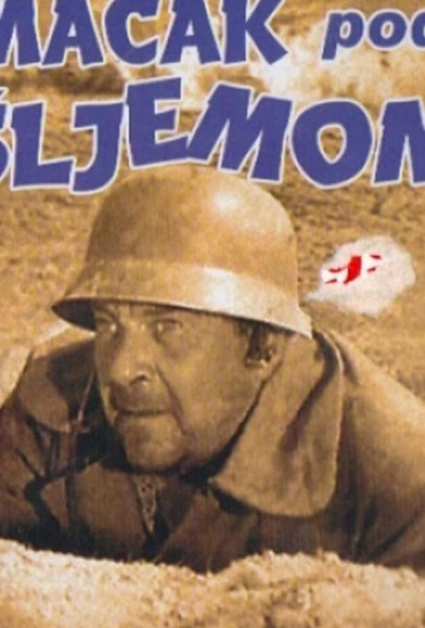 Кот под шлемом Кот под шлемом