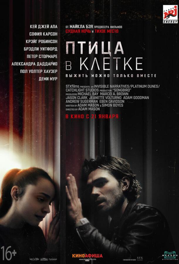 Птица в клетке Птица в клетке