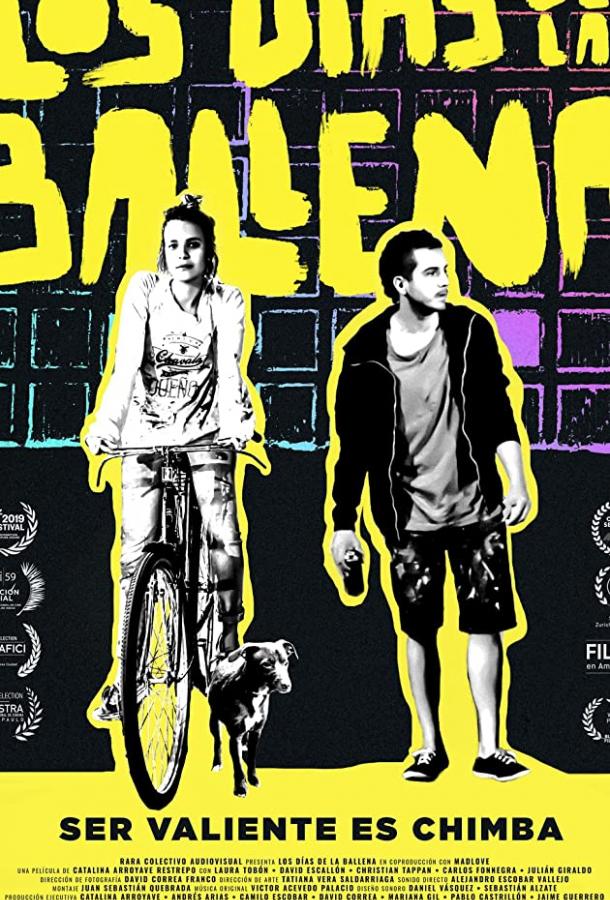 Дни кита Дни кита