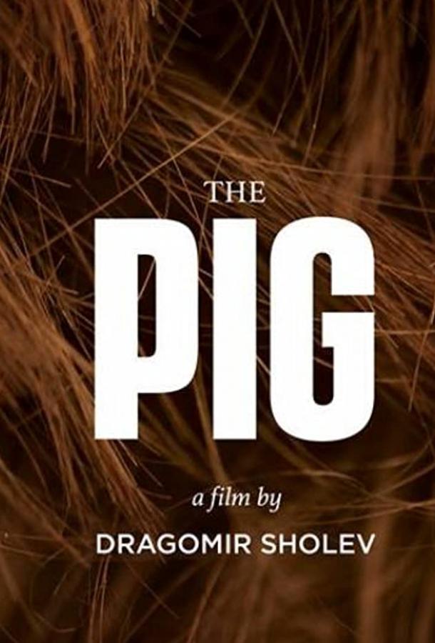 Свинья Свинья