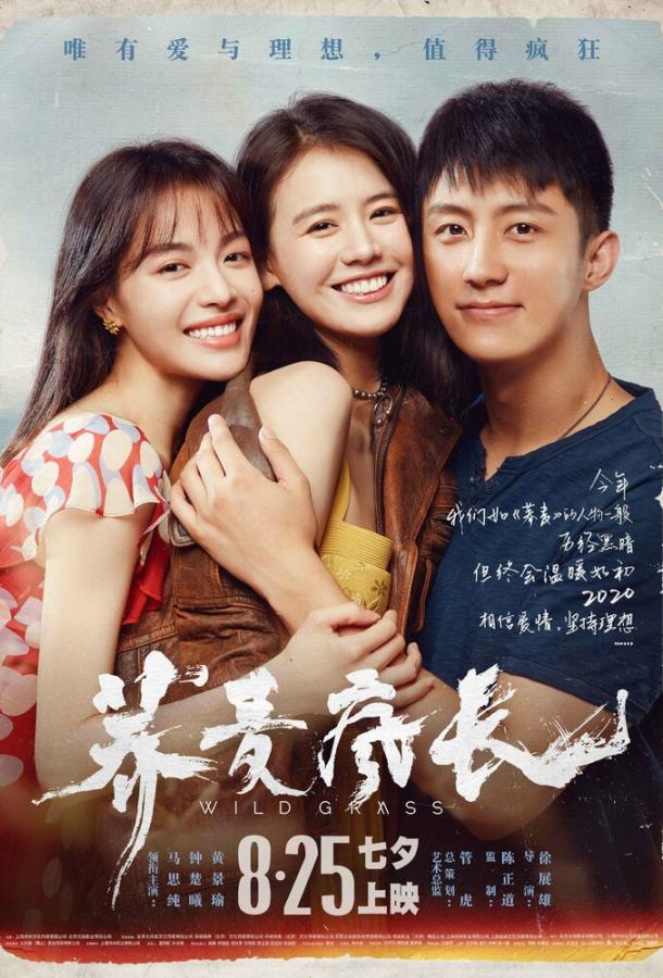 Дикие травы Дикие травы