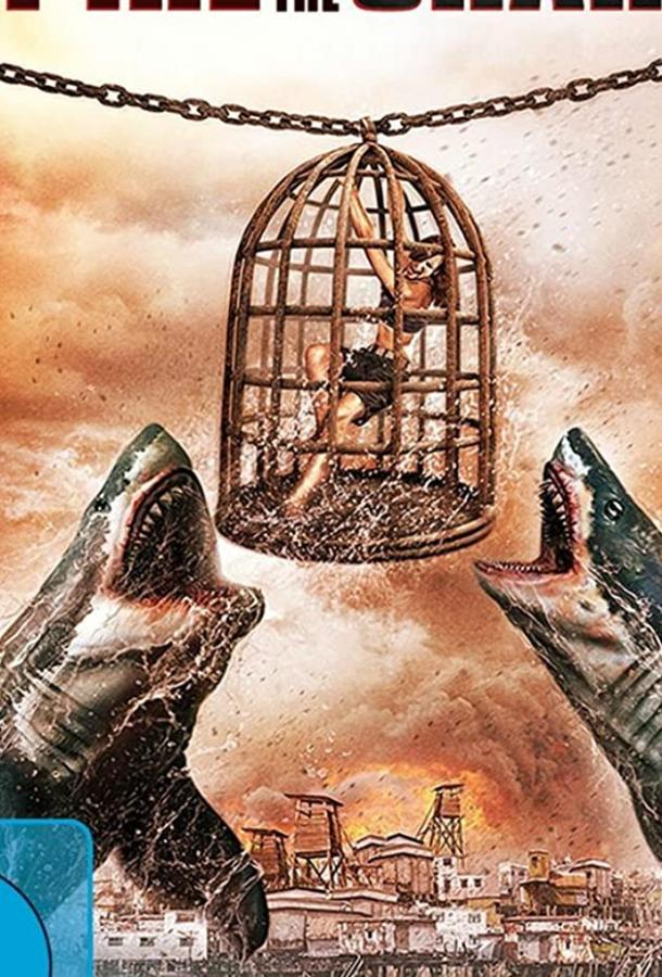 Империя акул Империя акул