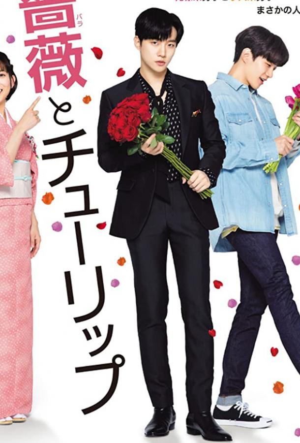 Роза и тюльпан Роза и тюльпан