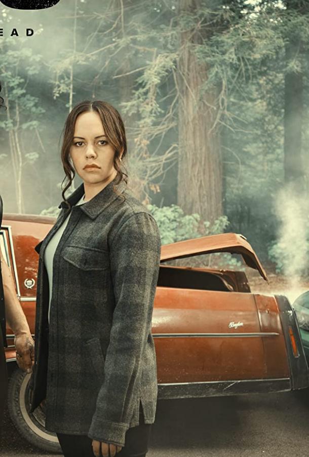 Вегас Вегас