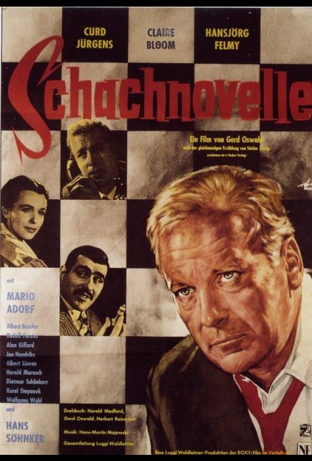 Шахматная новелла Шахматная новелла