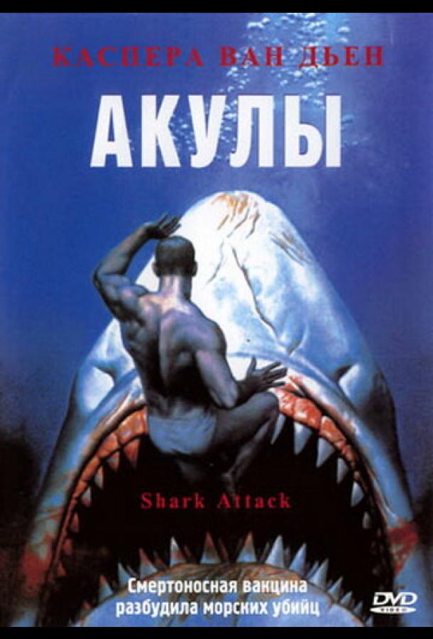 Акулы Акулы