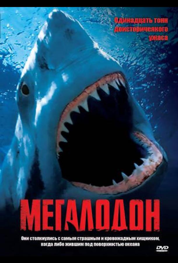 Мегалодон Мегалодон