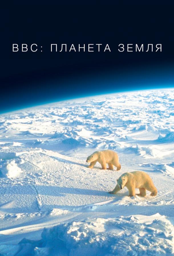 BBC: Планета Земля BBC: Планета Земля