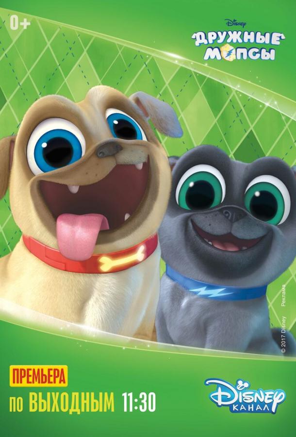 Дружные мопсы Дружные мопсы