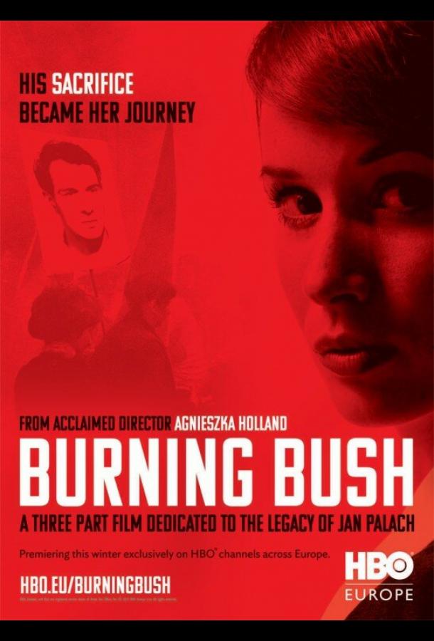 Неопалимая купина Неопалимая купина