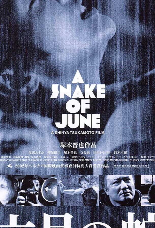 Июньский змей Июньский змей