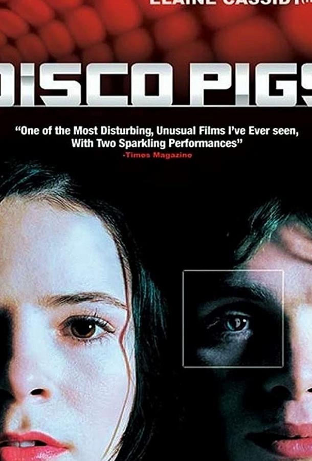 Дискосвиньи Дискосвиньи