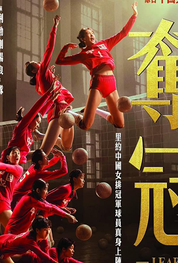 Женская волейбольная сборная Женская волейбольная сборная