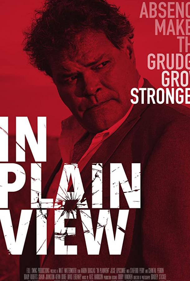 В Плэйнвью В Плэйнвью