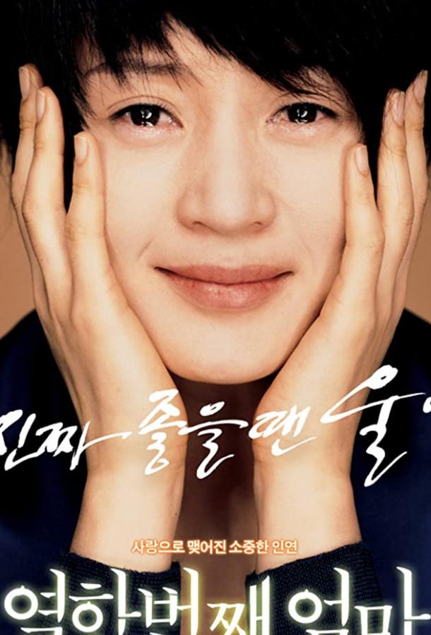 Моя одиннадцатая мама Моя одиннадцатая мама