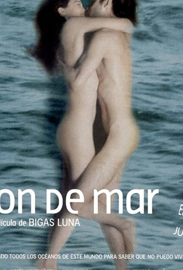 Шум моря Шум моря