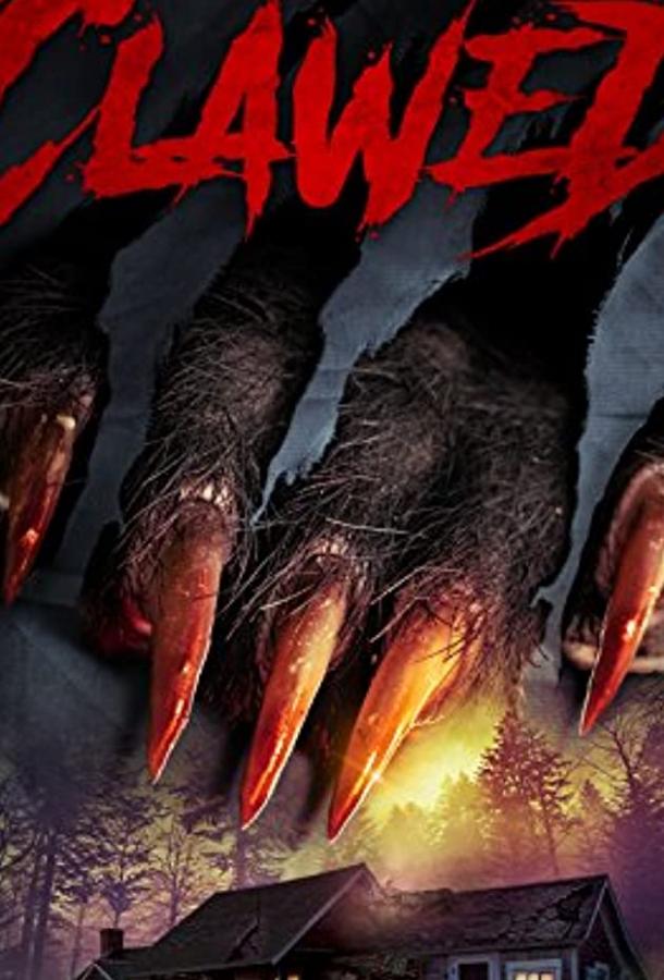 Когти Когти